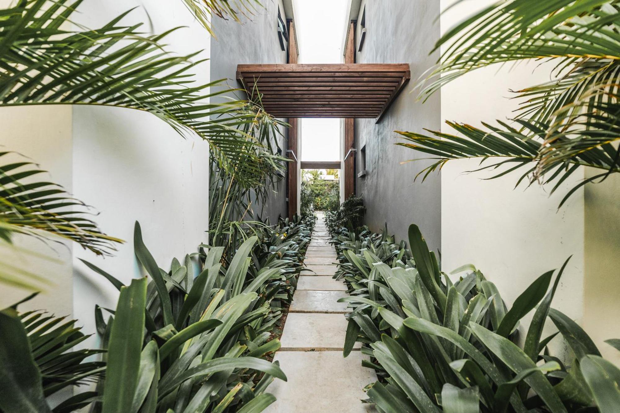 Modern Penthouse - Nautilya Bs1 Διαμέρισμα Grand Bay Εξωτερικό φωτογραφία